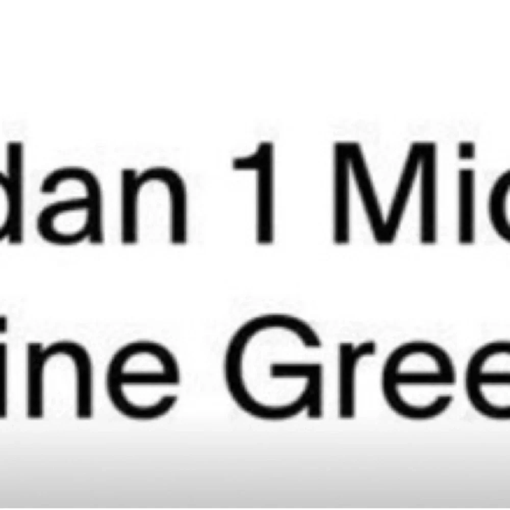 Air Jordan 10C Toddler Boy Mid SE TD 'Pine Green' - Picture 9 of 9